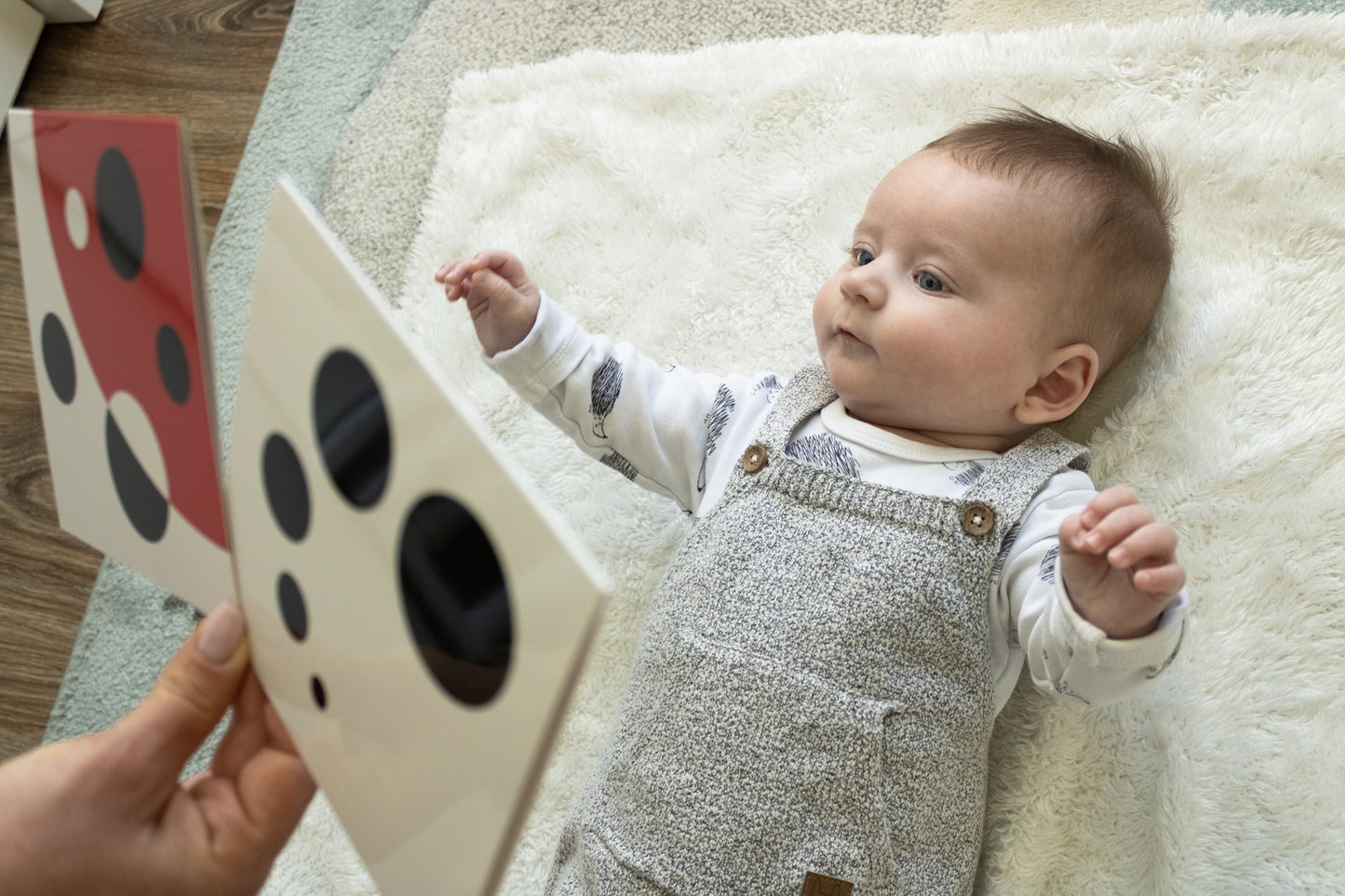 Черно-Бели Карти за Визуална Стимулация