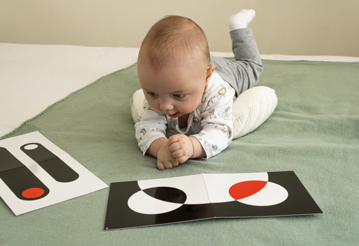 Черно-Бели Карти за Визуална Стимулация